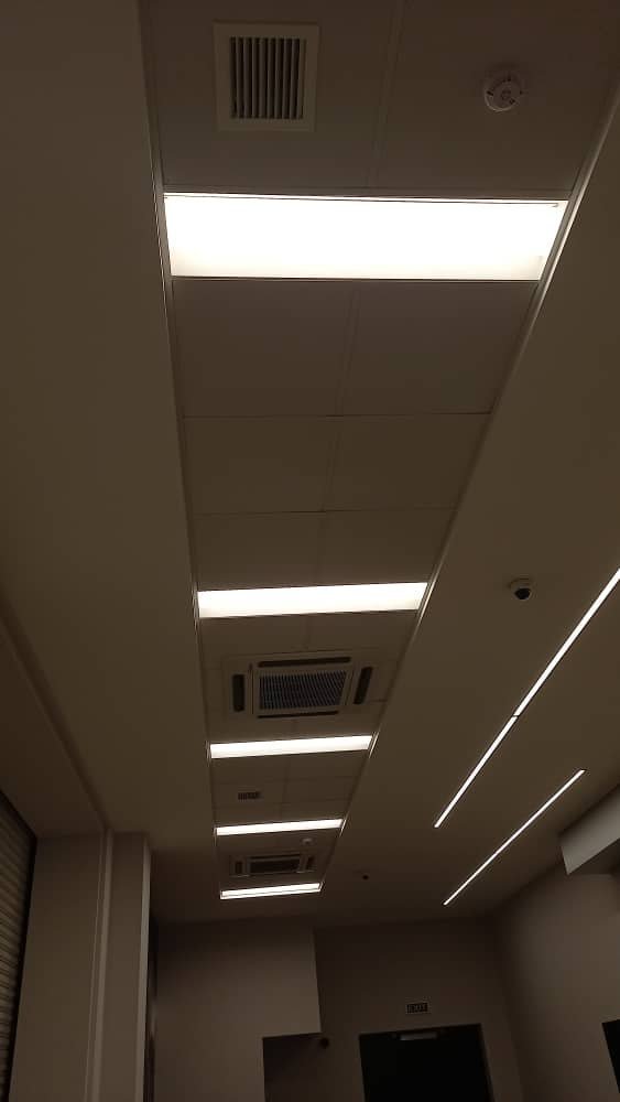 Ceiling — Ceiling Work